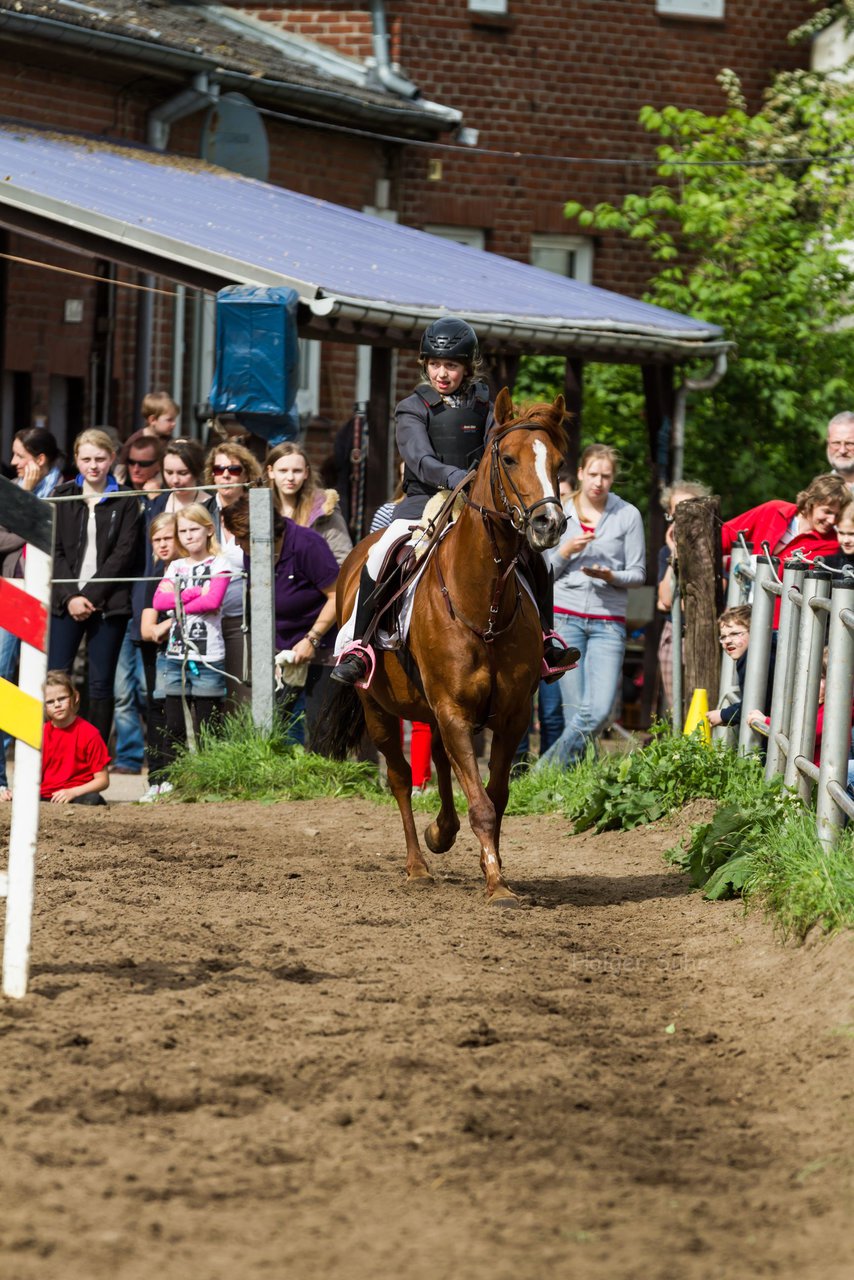 Bild 183 - Reitschule Janen Jubilum